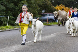 Appenzell, Appenzell Ausserrohden, Appenzeller Vorderland, Brauchtum, Landwirtschaft, Ostschweiz, Schweiz, Suisse, Switzerland, Viehschau, Wirtschaft, Wolfhalden