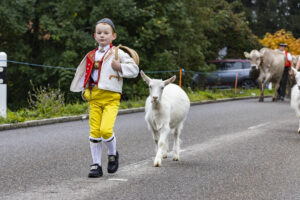 Appenzell, Appenzell Ausserrohden, Appenzeller Vorderland, Brauchtum, Landwirtschaft, Ostschweiz, Schweiz, Suisse, Switzerland, Viehschau, Wirtschaft, Wolfhalden