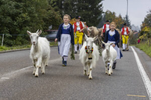 Appenzell, Appenzell Ausserrohden, Appenzeller Vorderland, Brauchtum, Landwirtschaft, Ostschweiz, Schweiz, Suisse, Switzerland, Viehschau, Wirtschaft, Wolfhalden