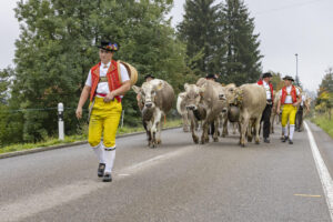 Appenzell, Appenzell Ausserrohden, Appenzeller Vorderland, Brauchtum, Landwirtschaft, Ostschweiz, Schweiz, Suisse, Switzerland, Viehschau, Wirtschaft, Wolfhalden