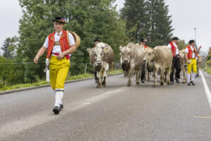 Appenzell, Appenzell Ausserrohden, Appenzeller Vorderland, Brauchtum, Landwirtschaft, Ostschweiz, Schweiz, Suisse, Switzerland, Viehschau, Wirtschaft, Wolfhalden