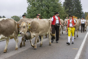 Appenzell, Appenzell Ausserrohden, Appenzeller Vorderland, Brauchtum, Landwirtschaft, Ostschweiz, Schweiz, Suisse, Switzerland, Viehschau, Wirtschaft, Wolfhalden