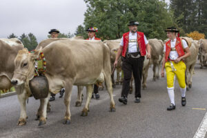 Appenzell, Appenzell Ausserrohden, Appenzeller Vorderland, Brauchtum, Landwirtschaft, Ostschweiz, Schweiz, Suisse, Switzerland, Viehschau, Wirtschaft, Wolfhalden