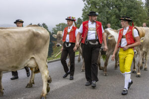 Appenzell, Appenzell Ausserrohden, Appenzeller Vorderland, Brauchtum, Landwirtschaft, Ostschweiz, Schweiz, Suisse, Switzerland, Viehschau, Wirtschaft, Wolfhalden