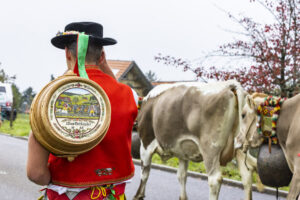 Appenzell, Appenzell Ausserrohden, Appenzeller Vorderland, Brauchtum, Landwirtschaft, Ostschweiz, Schweiz, Suisse, Switzerland, Viehschau, Wirtschaft, Wolfhalden