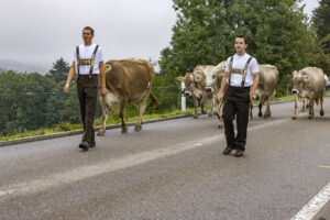 Appenzell, Appenzell Ausserrohden, Appenzeller Vorderland, Brauchtum, Landwirtschaft, Ostschweiz, Schweiz, Suisse, Switzerland, Viehschau, Wirtschaft, Wolfhalden