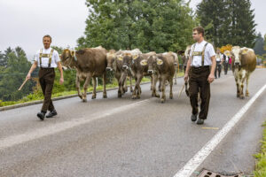 Appenzell, Appenzell Ausserrohden, Appenzeller Vorderland, Brauchtum, Landwirtschaft, Ostschweiz, Schweiz, Suisse, Switzerland, Viehschau, Wirtschaft, Wolfhalden