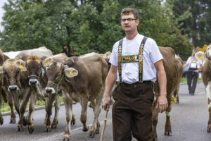 Appenzell, Appenzell Ausserrohden, Appenzeller Vorderland, Brauchtum, Landwirtschaft, Ostschweiz, Schweiz, Suisse, Switzerland, Viehschau, Wirtschaft, Wolfhalden