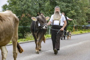 Appenzell, Appenzell Ausserrohden, Appenzeller Vorderland, Brauchtum, Landwirtschaft, Ostschweiz, Schweiz, Suisse, Switzerland, Viehschau, Wirtschaft, Wolfhalden