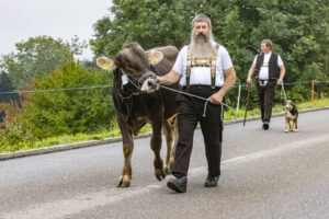 Appenzell, Appenzell Ausserrohden, Appenzeller Vorderland, Brauchtum, Landwirtschaft, Ostschweiz, Schweiz, Suisse, Switzerland, Viehschau, Wirtschaft, Wolfhalden