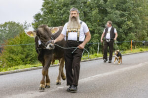 Appenzell, Appenzell Ausserrohden, Appenzeller Vorderland, Brauchtum, Landwirtschaft, Ostschweiz, Schweiz, Suisse, Switzerland, Viehschau, Wirtschaft, Wolfhalden