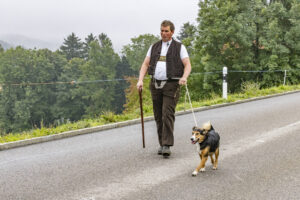 Appenzell, Appenzell Ausserrohden, Appenzeller Vorderland, Brauchtum, Landwirtschaft, Ostschweiz, Schweiz, Suisse, Switzerland, Viehschau, Wirtschaft, Wolfhalden