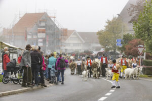 Appenzell, Appenzell Ausserrohden, Appenzeller Vorderland, Brauchtum, Landwirtschaft, Ostschweiz, Schweiz, Suisse, Switzerland, Viehschau, Wirtschaft, Wolfhalden