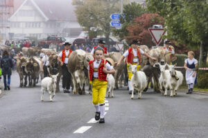 Appenzell, Appenzell Ausserrohden, Appenzeller Vorderland, Brauchtum, Landwirtschaft, Ostschweiz, Schweiz, Suisse, Switzerland, Viehschau, Wirtschaft, Wolfhalden