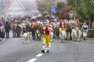 Appenzell, Appenzell Ausserrohden, Appenzeller Vorderland, Brauchtum, Landwirtschaft, Ostschweiz, Schweiz, Suisse, Switzerland, Viehschau, Wirtschaft, Wolfhalden