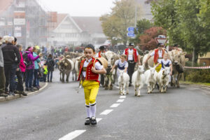 Appenzell, Appenzell Ausserrohden, Appenzeller Vorderland, Brauchtum, Landwirtschaft, Ostschweiz, Schweiz, Suisse, Switzerland, Viehschau, Wirtschaft, Wolfhalden