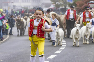 Appenzell, Appenzell Ausserrohden, Appenzeller Vorderland, Brauchtum, Landwirtschaft, Ostschweiz, Schweiz, Suisse, Switzerland, Viehschau, Wirtschaft, Wolfhalden