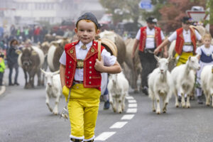 Appenzell, Appenzell Ausserrohden, Appenzeller Vorderland, Brauchtum, Landwirtschaft, Ostschweiz, Schweiz, Suisse, Switzerland, Viehschau, Wirtschaft, Wolfhalden