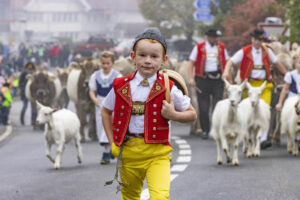 Appenzell, Appenzell Ausserrohden, Appenzeller Vorderland, Brauchtum, Landwirtschaft, Ostschweiz, Schweiz, Suisse, Switzerland, Viehschau, Wirtschaft, Wolfhalden