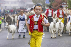 Appenzell, Appenzell Ausserrohden, Appenzeller Vorderland, Brauchtum, Landwirtschaft, Ostschweiz, Schweiz, Suisse, Switzerland, Viehschau, Wirtschaft, Wolfhalden