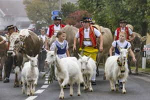 Appenzell, Appenzell Ausserrohden, Appenzeller Vorderland, Brauchtum, Landwirtschaft, Ostschweiz, Schweiz, Suisse, Switzerland, Viehschau, Wirtschaft, Wolfhalden