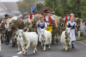 Appenzell, Appenzell Ausserrohden, Appenzeller Vorderland, Brauchtum, Landwirtschaft, Ostschweiz, Schweiz, Suisse, Switzerland, Viehschau, Wirtschaft, Wolfhalden