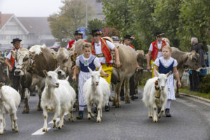 Appenzell, Appenzell Ausserrohden, Appenzeller Vorderland, Brauchtum, Landwirtschaft, Ostschweiz, Schweiz, Suisse, Switzerland, Viehschau, Wirtschaft, Wolfhalden