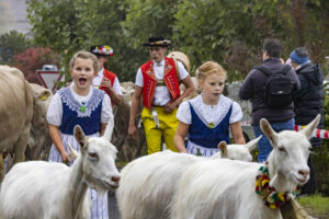 Appenzell, Appenzell Ausserrohden, Appenzeller Vorderland, Brauchtum, Landwirtschaft, Ostschweiz, Schweiz, Suisse, Switzerland, Viehschau, Wirtschaft, Wolfhalden