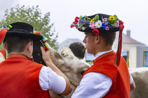 Appenzell, Appenzell Ausserrohden, Appenzeller Vorderland, Brauchtum, Landwirtschaft, Ostschweiz, Schweiz, Suisse, Switzerland, Viehschau, Wirtschaft, Wolfhalden