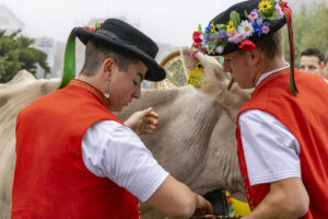 Appenzell, Appenzell Ausserrohden, Appenzeller Vorderland, Brauchtum, Landwirtschaft, Ostschweiz, Schweiz, Suisse, Switzerland, Viehschau, Wirtschaft, Wolfhalden