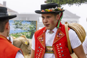 Appenzell, Appenzell Ausserrohden, Appenzeller Vorderland, Brauchtum, Landwirtschaft, Ostschweiz, Schweiz, Suisse, Switzerland, Viehschau, Wirtschaft, Wolfhalden