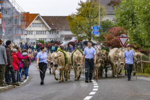 Appenzell, Appenzell Ausserrohden, Appenzeller Vorderland, Brauchtum, Landwirtschaft, Ostschweiz, Schweiz, Suisse, Switzerland, Viehschau, Wirtschaft, Wolfhalden