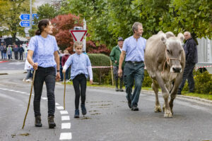 Appenzell, Appenzell Ausserrohden, Appenzeller Vorderland, Brauchtum, Landwirtschaft, Ostschweiz, Schweiz, Suisse, Switzerland, Viehschau, Wirtschaft, Wolfhalden