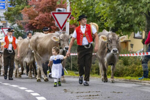Appenzell, Appenzell Ausserrohden, Appenzeller Vorderland, Brauchtum, Landwirtschaft, Ostschweiz, Schweiz, Suisse, Switzerland, Viehschau, Wirtschaft, Wolfhalden