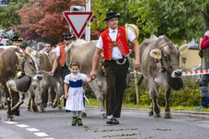 Appenzell, Appenzell Ausserrohden, Appenzeller Vorderland, Brauchtum, Landwirtschaft, Ostschweiz, Schweiz, Suisse, Switzerland, Viehschau, Wirtschaft, Wolfhalden