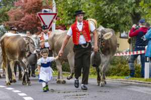 Appenzell, Appenzell Ausserrohden, Appenzeller Vorderland, Brauchtum, Landwirtschaft, Ostschweiz, Schweiz, Suisse, Switzerland, Viehschau, Wirtschaft, Wolfhalden