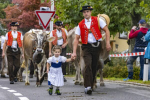 Appenzell, Appenzell Ausserrohden, Appenzeller Vorderland, Brauchtum, Landwirtschaft, Ostschweiz, Schweiz, Suisse, Switzerland, Viehschau, Wirtschaft, Wolfhalden