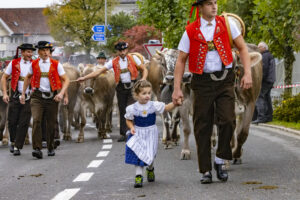 Appenzell, Appenzell Ausserrohden, Appenzeller Vorderland, Brauchtum, Landwirtschaft, Ostschweiz, Schweiz, Suisse, Switzerland, Viehschau, Wirtschaft, Wolfhalden