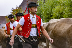 Appenzell, Appenzell Ausserrohden, Appenzeller Vorderland, Brauchtum, Landwirtschaft, Ostschweiz, Schweiz, Suisse, Switzerland, Viehschau, Wirtschaft, Wolfhalden