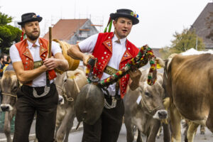 Appenzell, Appenzell Ausserrohden, Appenzeller Vorderland, Brauchtum, Landwirtschaft, Ostschweiz, Schweiz, Suisse, Switzerland, Viehschau, Wirtschaft, Wolfhalden