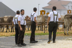 Appenzell, Appenzell Ausserrohden, Appenzeller Vorderland, Brauchtum, Landwirtschaft, Ostschweiz, Schweiz, Suisse, Switzerland, Viehschau, Wirtschaft, Wolfhalden