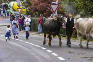 Appenzell, Appenzell Ausserrohden, Appenzeller Vorderland, Brauchtum, Landwirtschaft, Ostschweiz, Schweiz, Suisse, Switzerland, Viehschau, Wirtschaft, Wolfhalden