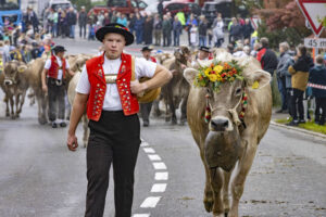 Appenzell, Appenzell Ausserrohden, Appenzeller Vorderland, Brauchtum, Landwirtschaft, Ostschweiz, Schweiz, Suisse, Switzerland, Viehschau, Wirtschaft, Wolfhalden