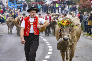 Appenzell, Appenzell Ausserrohden, Appenzeller Vorderland, Brauchtum, Landwirtschaft, Ostschweiz, Schweiz, Suisse, Switzerland, Viehschau, Wirtschaft, Wolfhalden