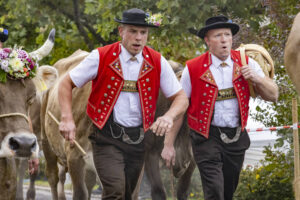 Appenzell, Appenzell Ausserrohden, Appenzeller Vorderland, Brauchtum, Landwirtschaft, Ostschweiz, Schweiz, Suisse, Switzerland, Viehschau, Wirtschaft, Wolfhalden