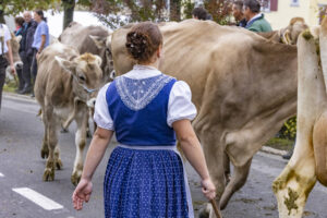 Appenzell, Appenzell Ausserrohden, Appenzeller Vorderland, Brauchtum, Landwirtschaft, Ostschweiz, Schweiz, Suisse, Switzerland, Viehschau, Wirtschaft, Wolfhalden
