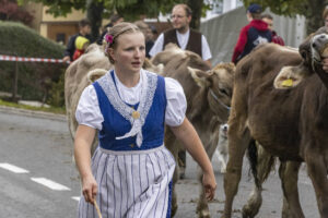 Appenzell, Appenzell Ausserrohden, Appenzeller Vorderland, Brauchtum, Landwirtschaft, Ostschweiz, Schweiz, Suisse, Switzerland, Viehschau, Wirtschaft, Wolfhalden