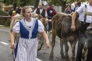 Appenzell, Appenzell Ausserrohden, Appenzeller Vorderland, Brauchtum, Landwirtschaft, Ostschweiz, Schweiz, Suisse, Switzerland, Viehschau, Wirtschaft, Wolfhalden
