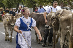 Appenzell, Appenzell Ausserrohden, Appenzeller Vorderland, Brauchtum, Landwirtschaft, Ostschweiz, Schweiz, Suisse, Switzerland, Viehschau, Wirtschaft, Wolfhalden