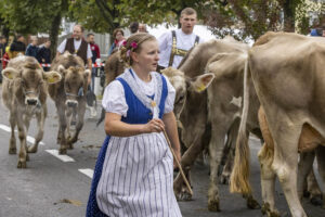 Appenzell, Appenzell Ausserrohden, Appenzeller Vorderland, Brauchtum, Landwirtschaft, Ostschweiz, Schweiz, Suisse, Switzerland, Viehschau, Wirtschaft, Wolfhalden